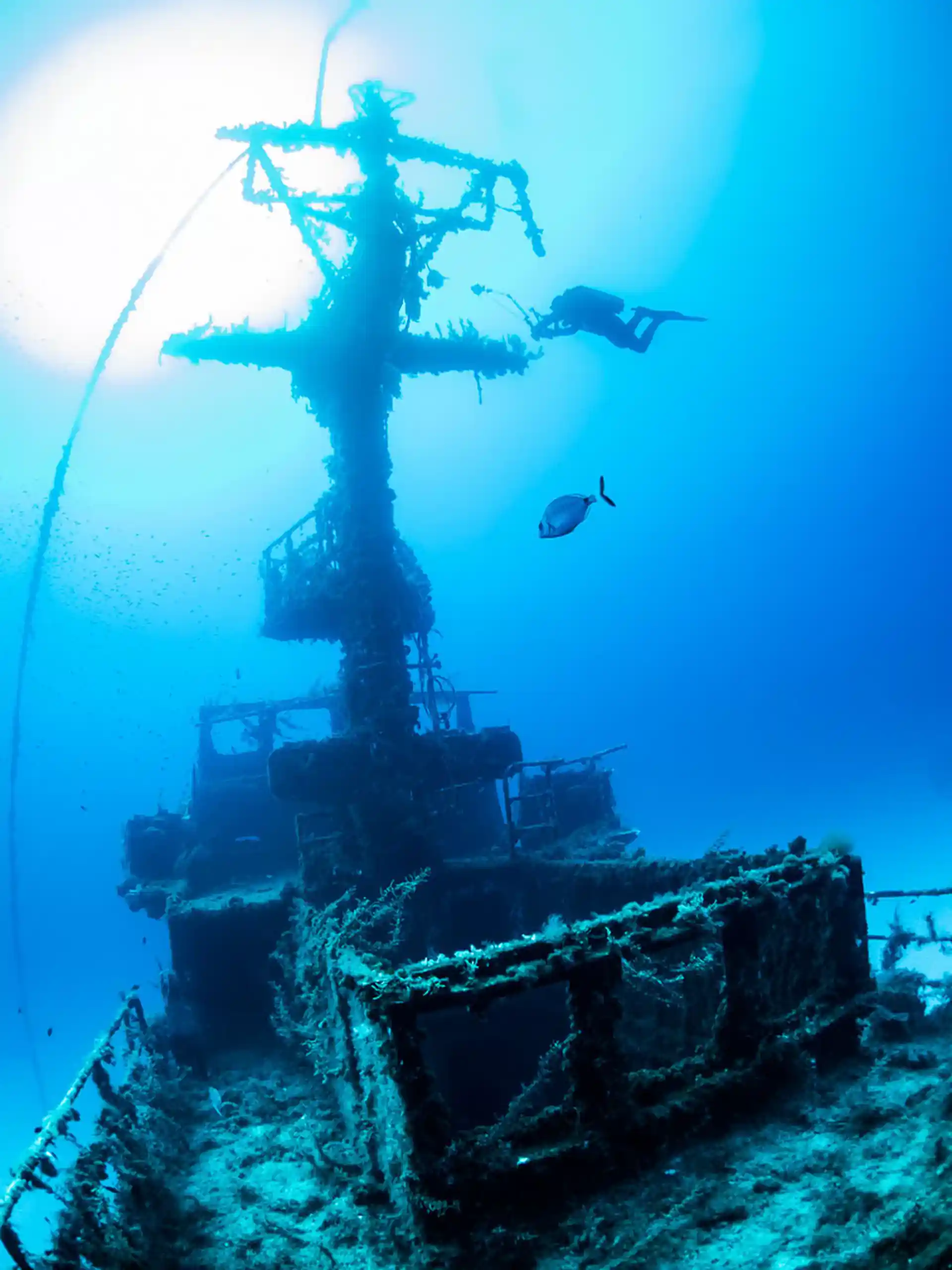 Dive 2: Exploration Along The P29 Patrol Boat In Cirkewwa