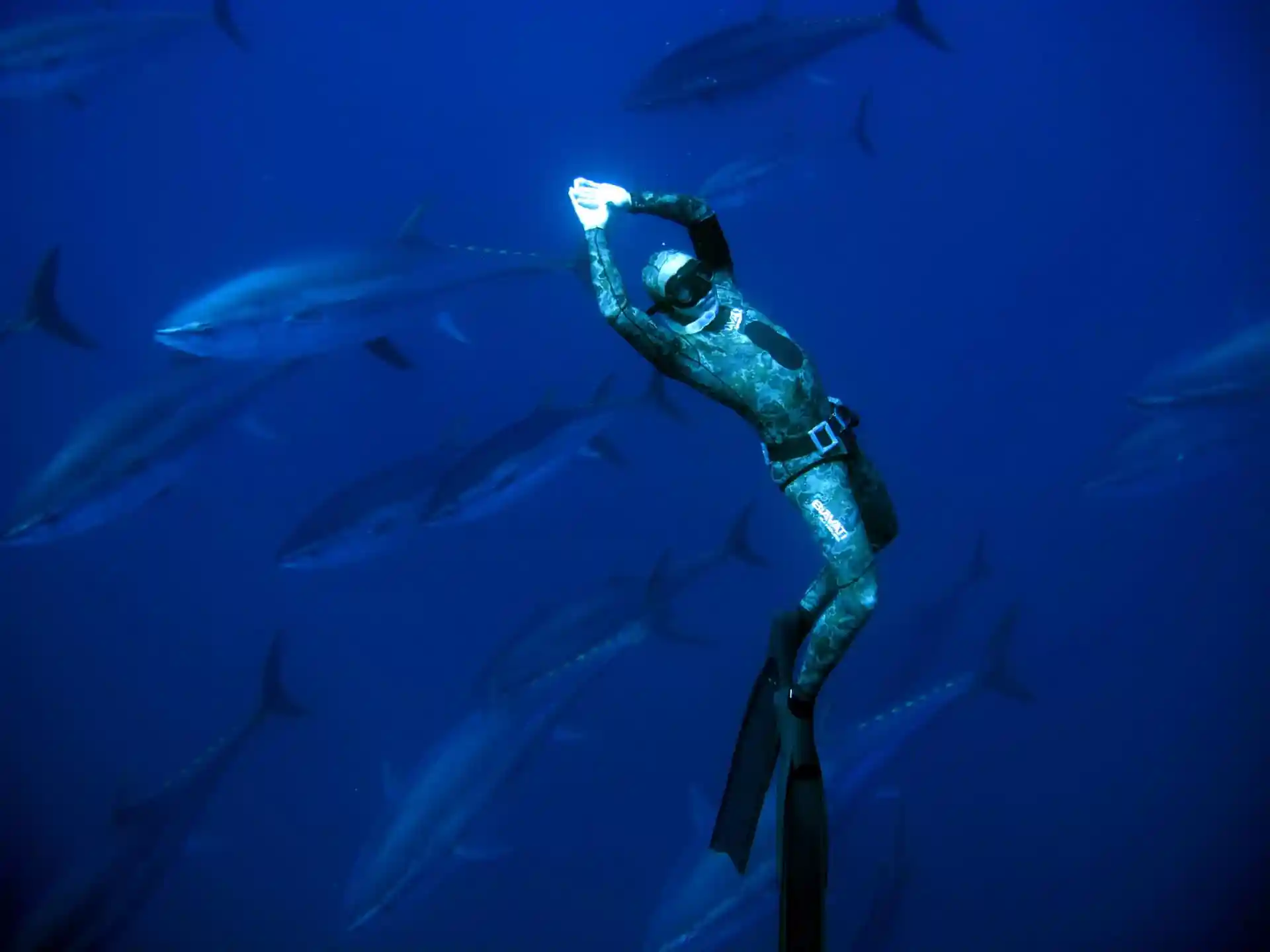 Foto de la actividad