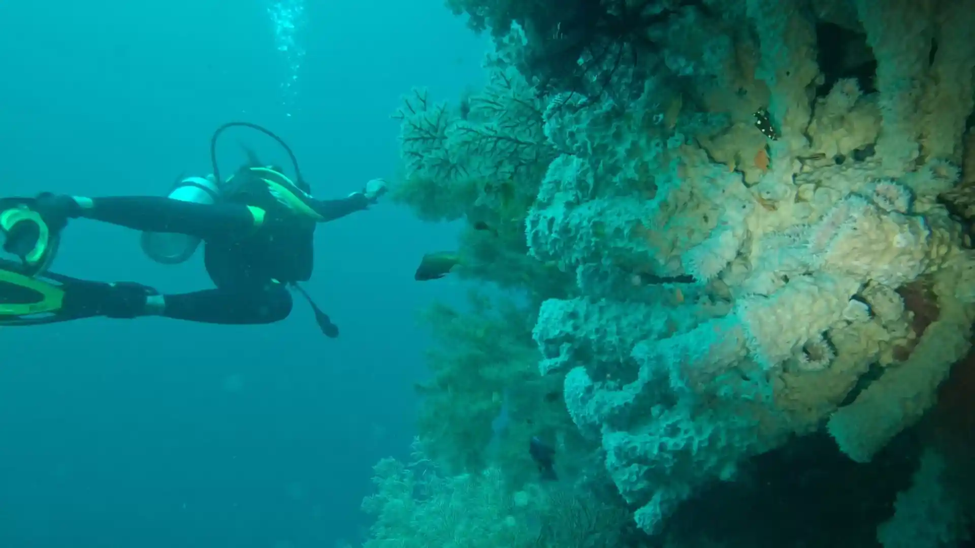Foto del sitio de buceo