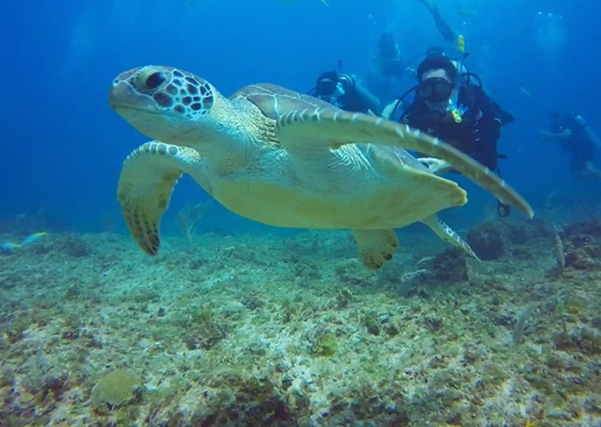Foto de la tienda de buceo