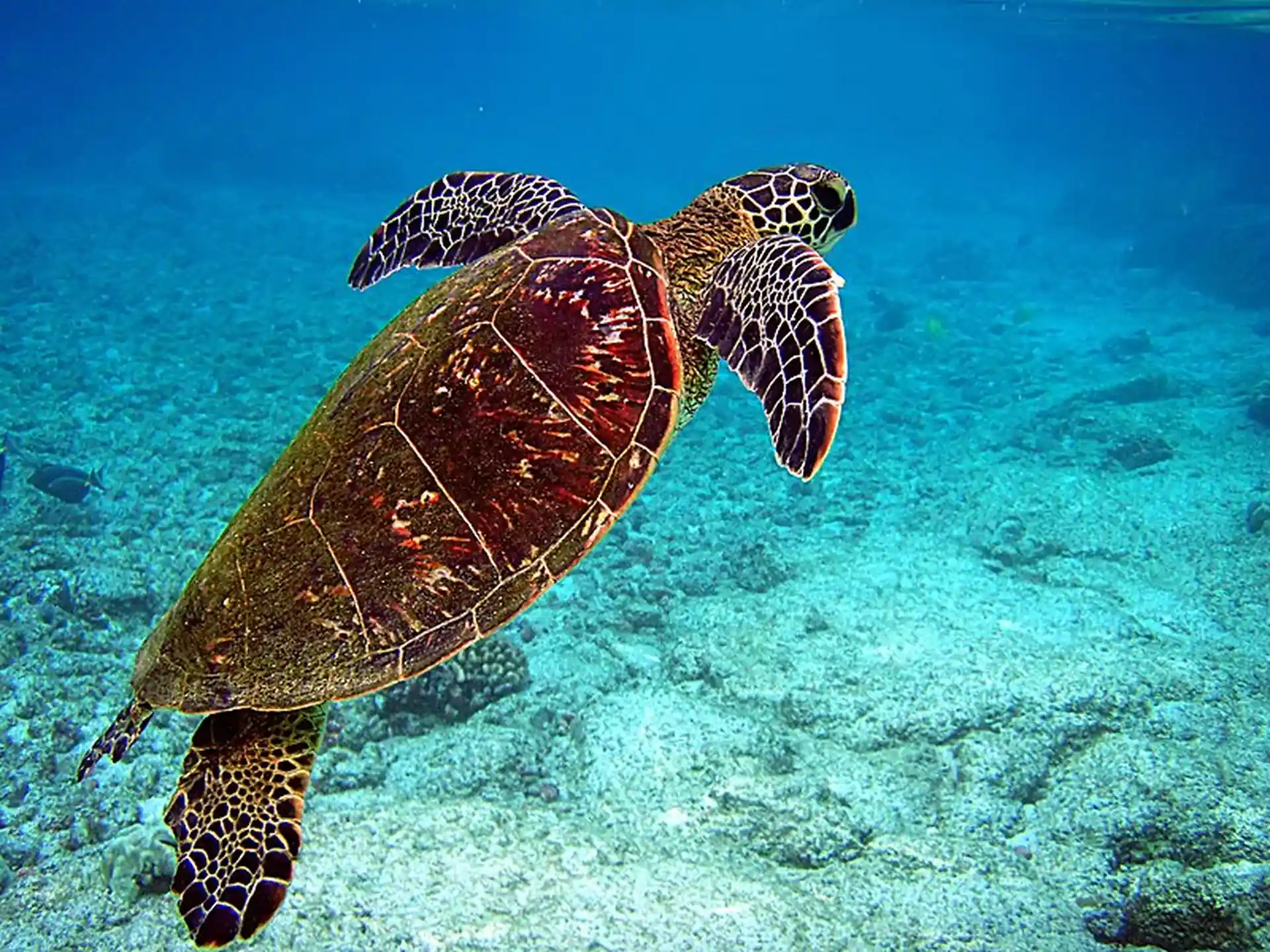 Dive site photo