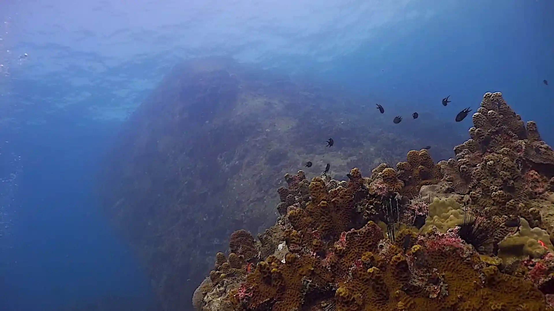 Dive site photo