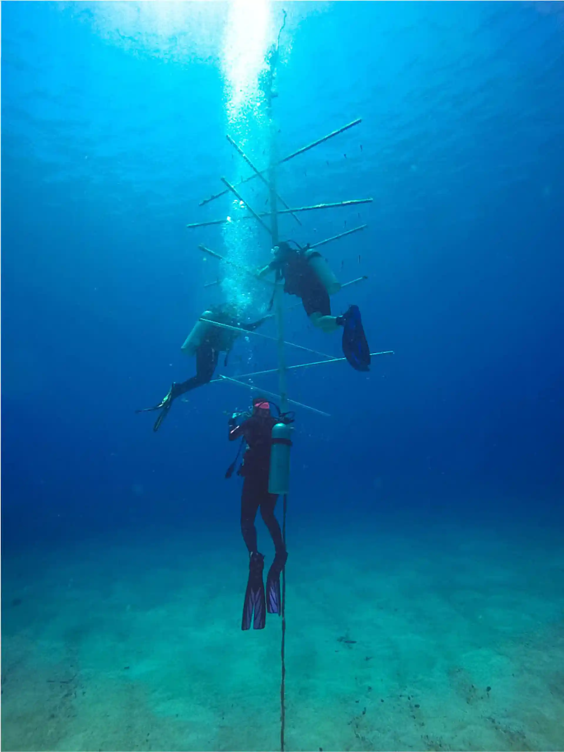 Dive site photo