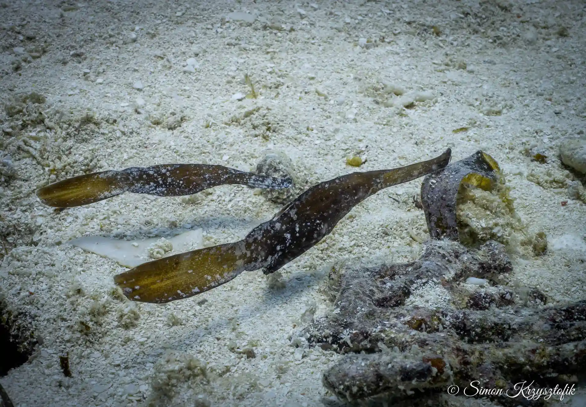 Dive site photo