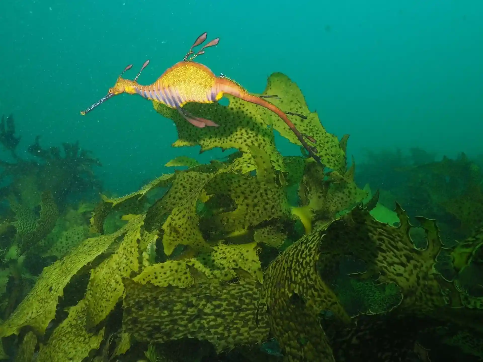 Dive site photo