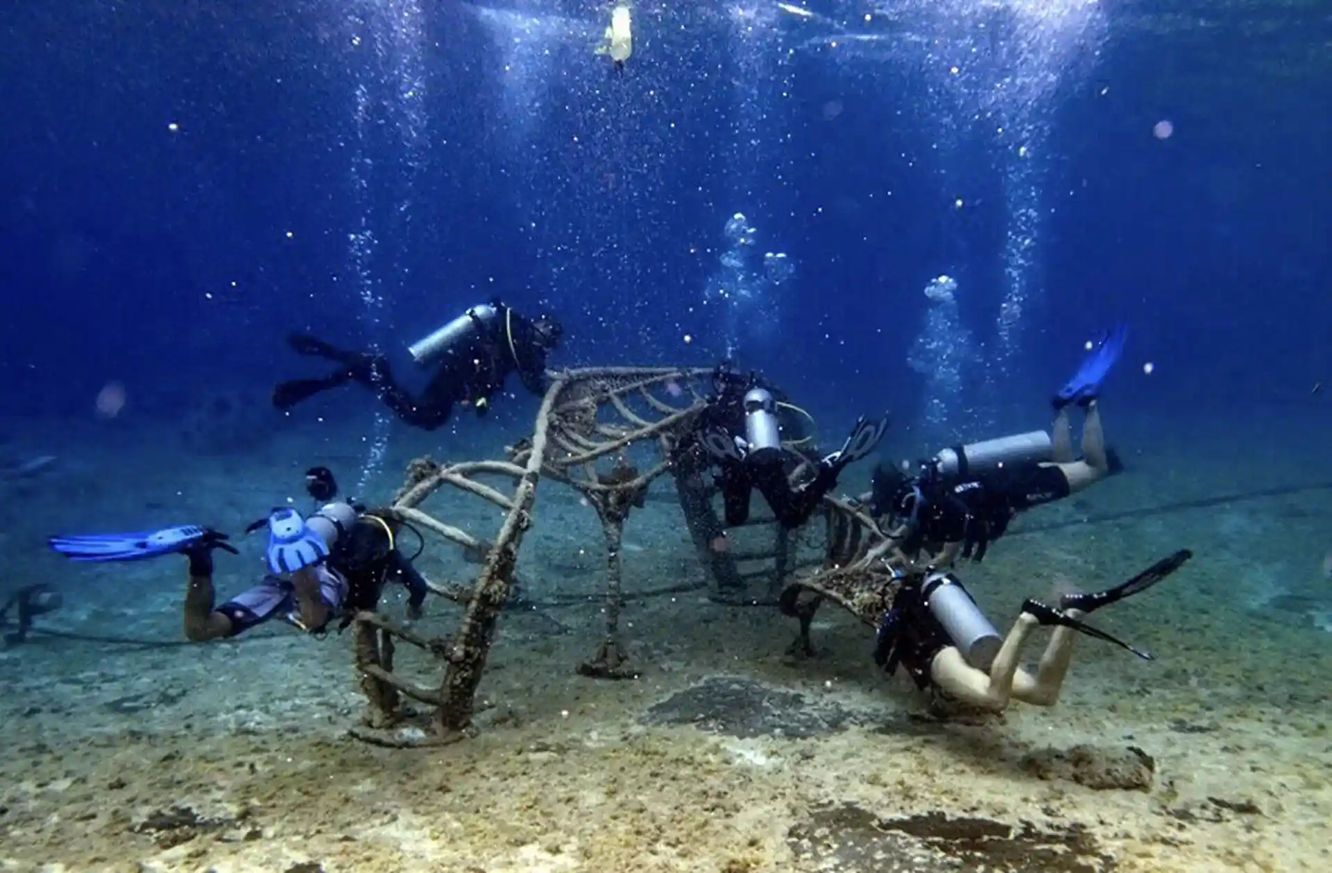 Dive site photo