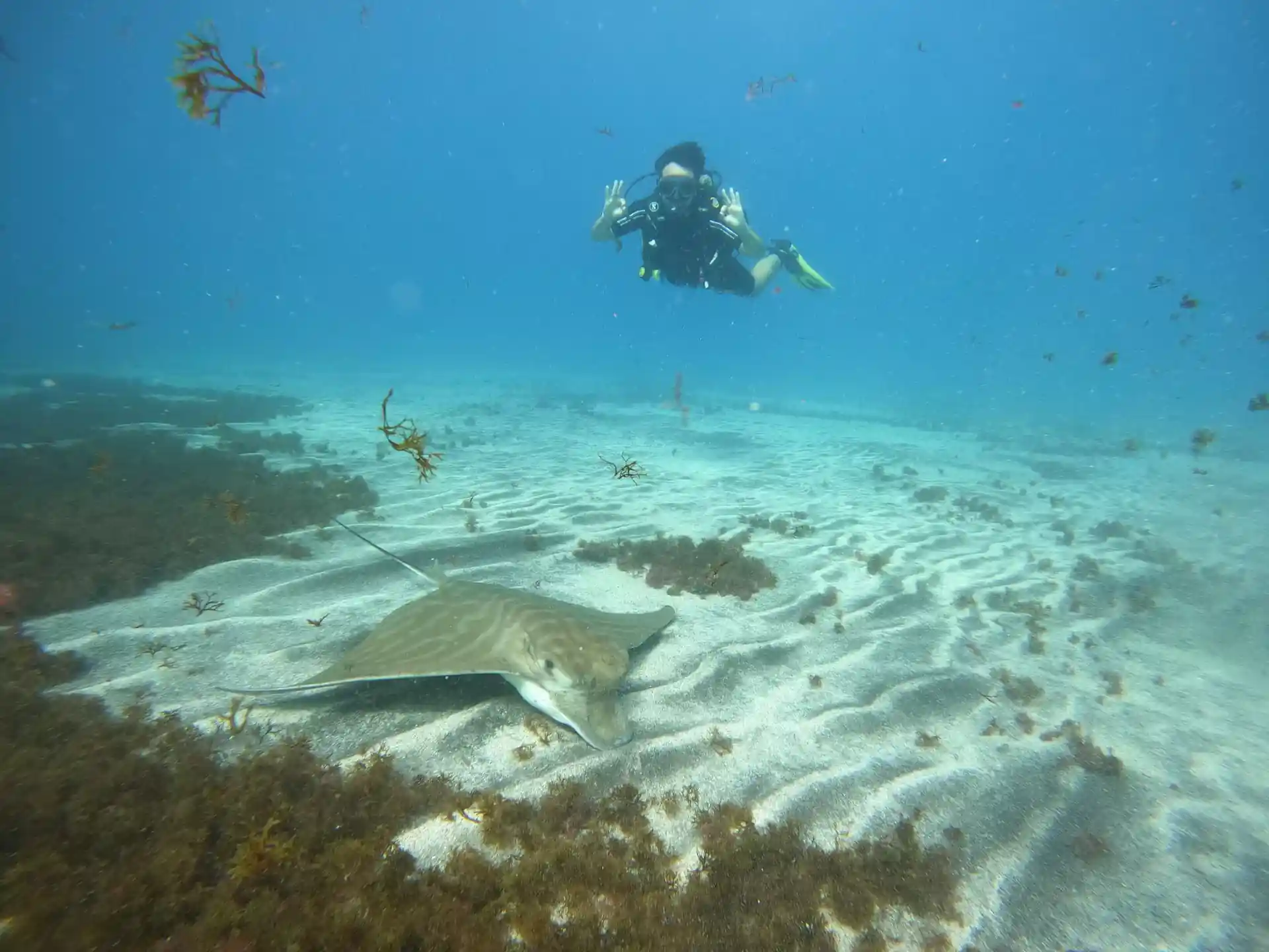 Dive shop photo
