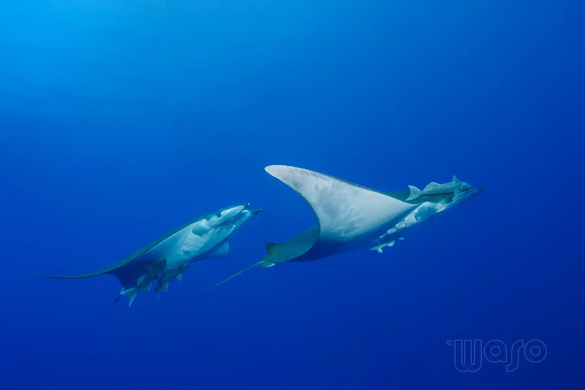 Dive site photo