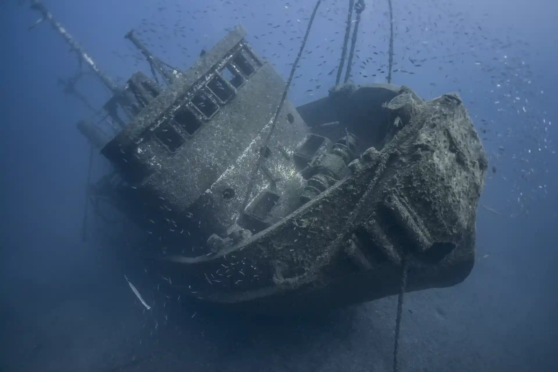First glimpse of Tenerife’s iconic artificial reef below the surface.