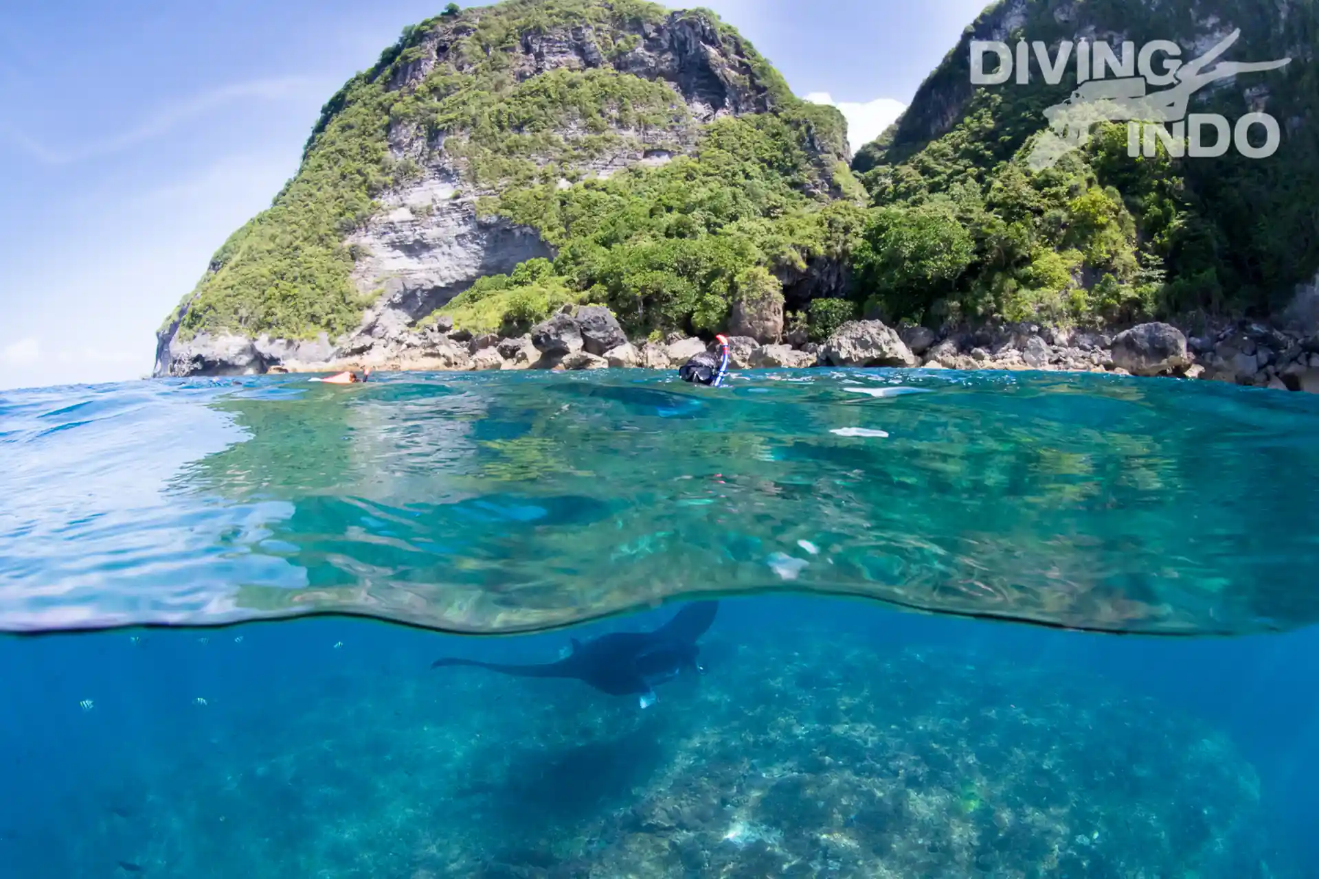 Manta Ray at Manta Point, Nusa Penida