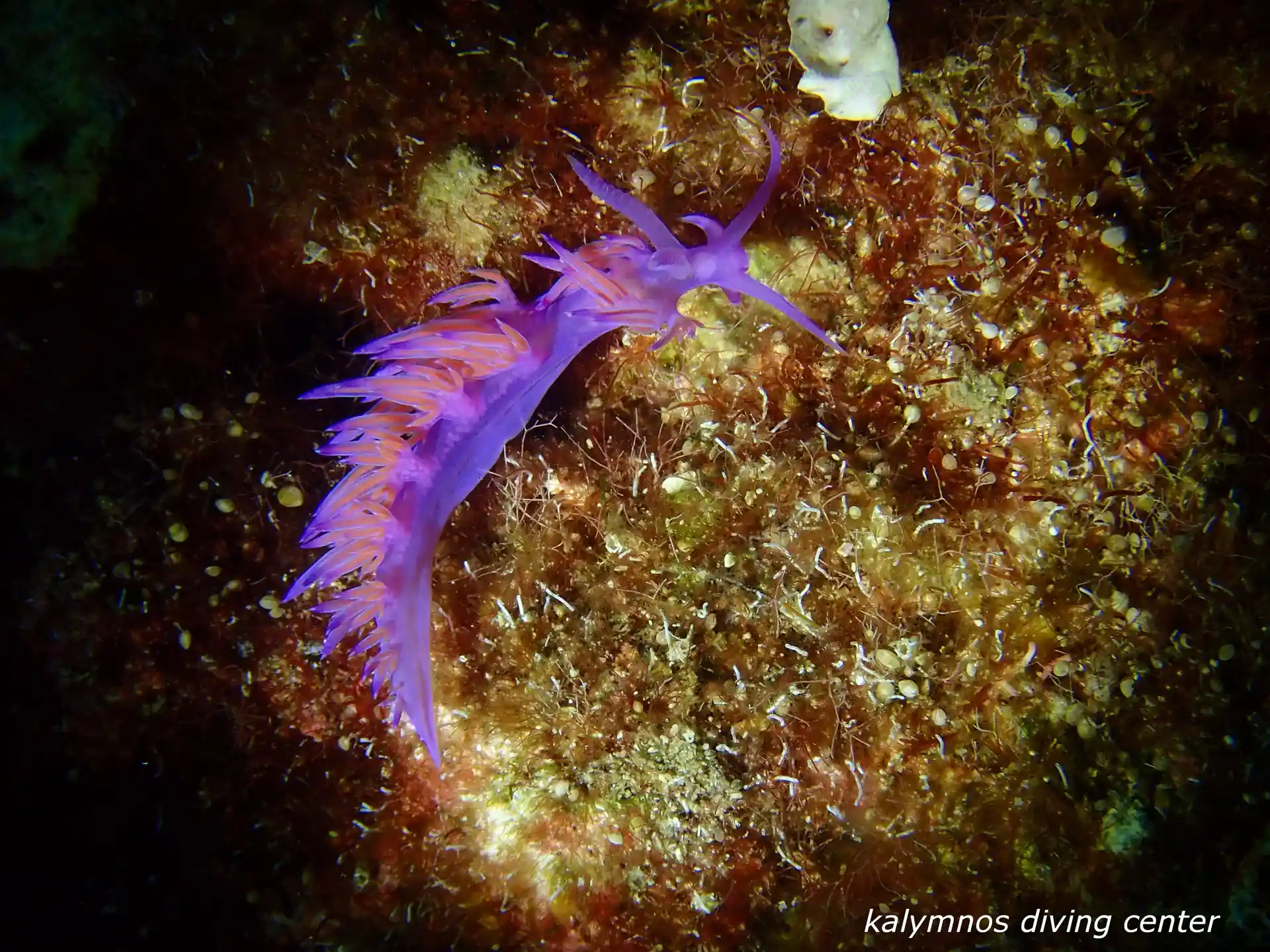 Dive shop photo