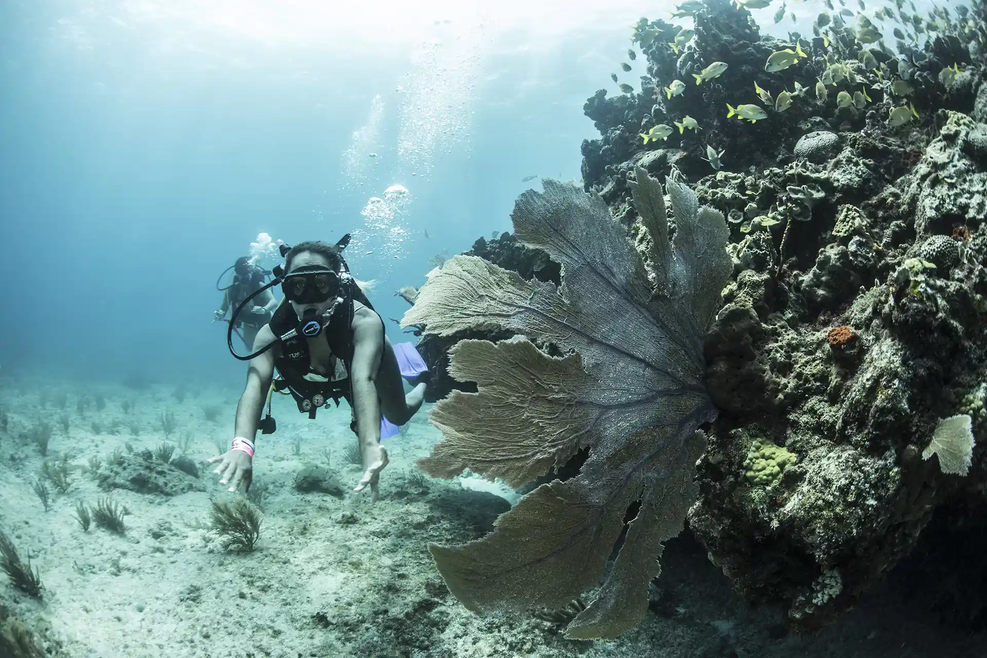 Dive site photo