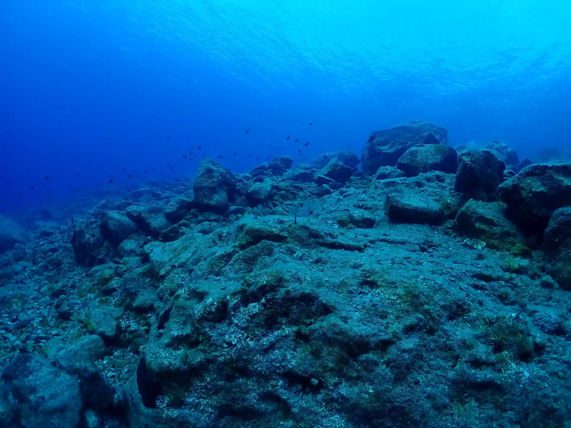 Dive site photo