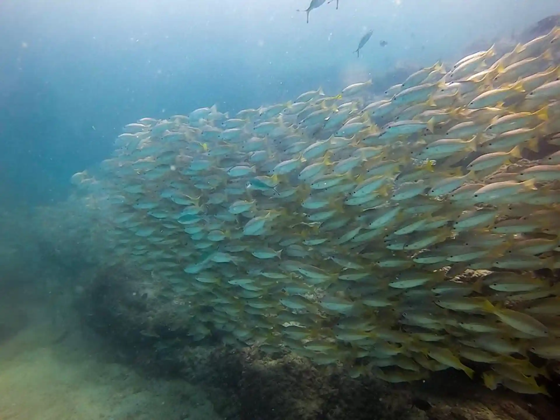 Foto van de duiklocatie