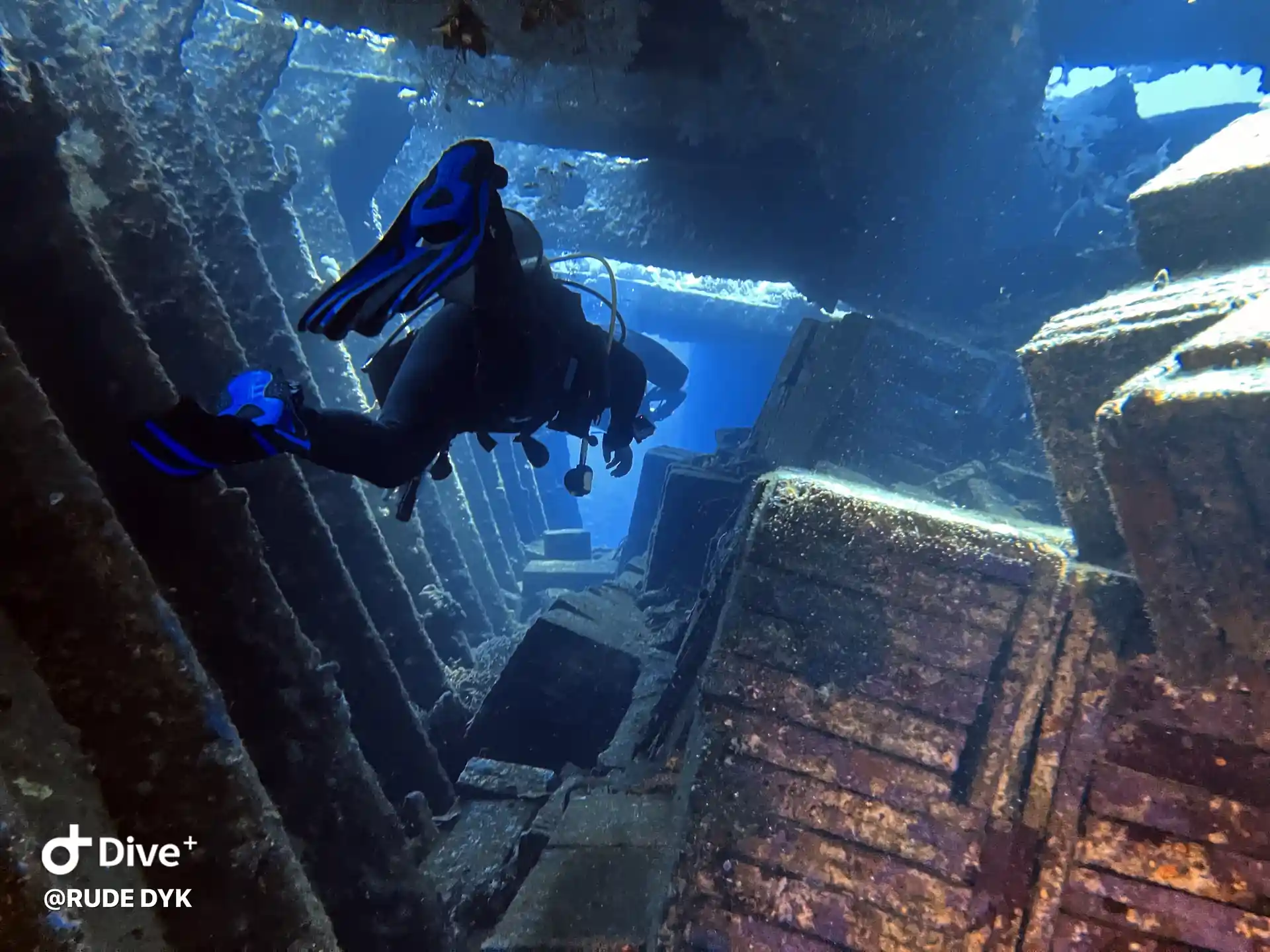 Dive shop photo