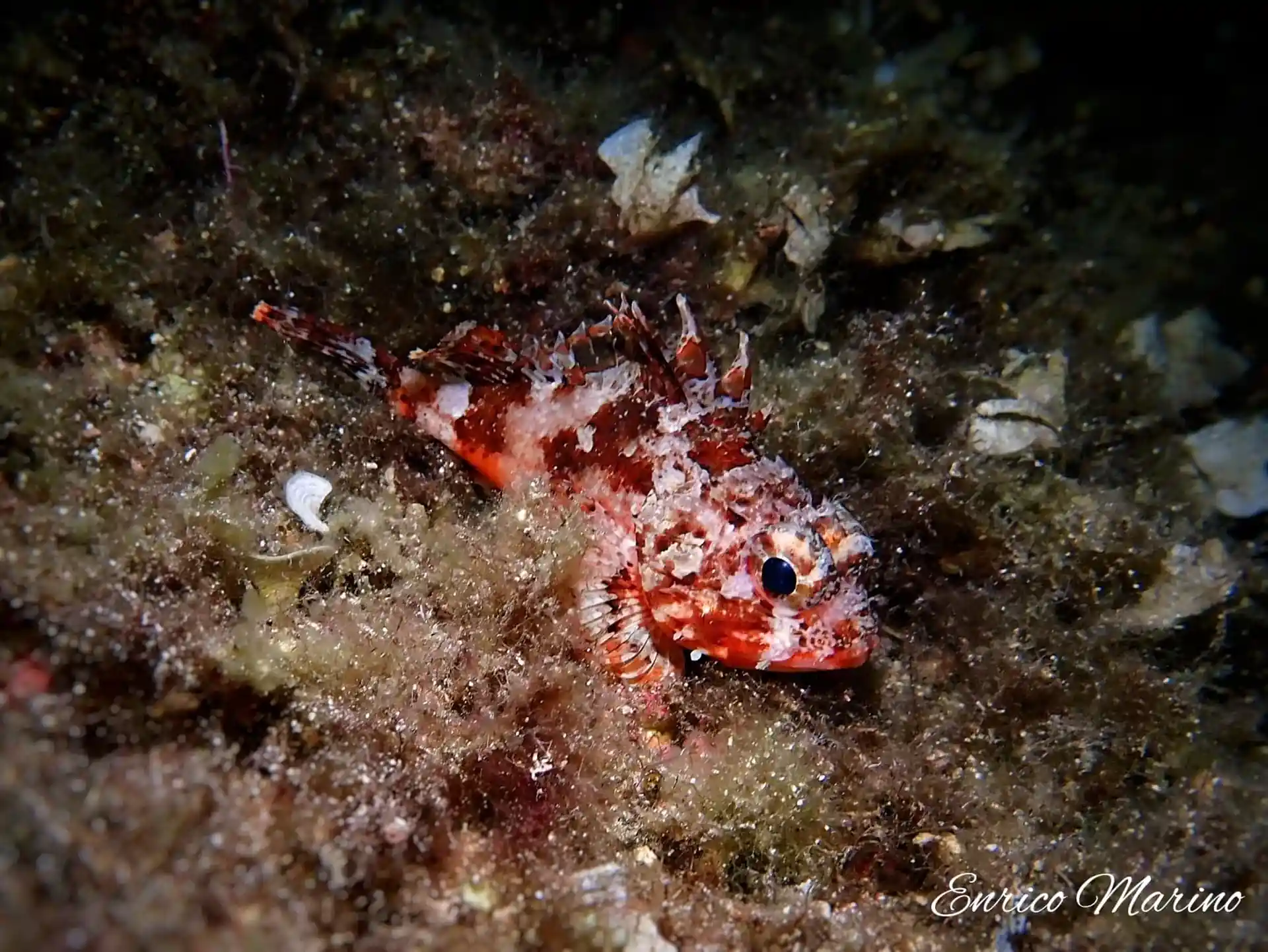 Dive site photo