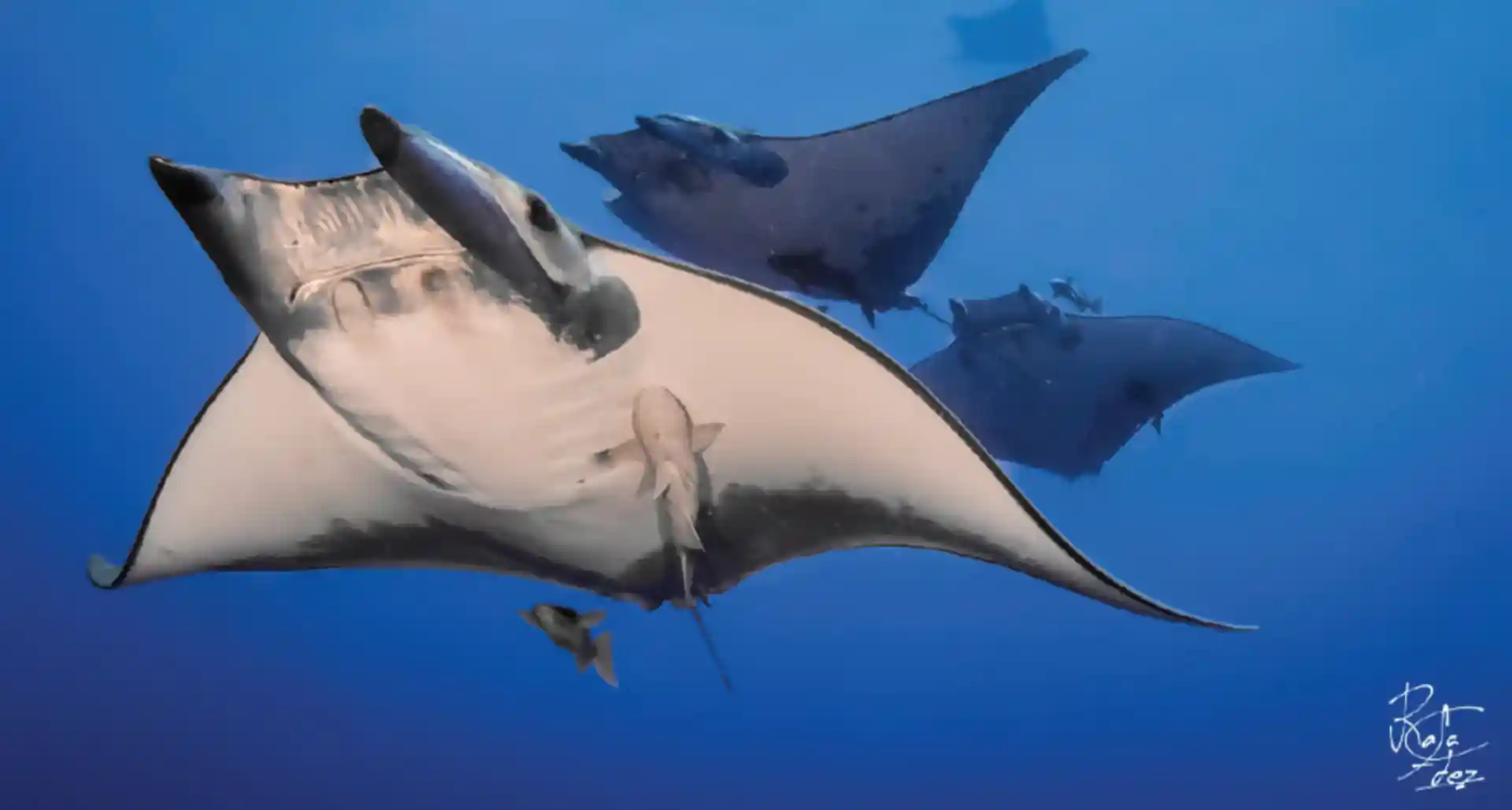 Foto de la actividad