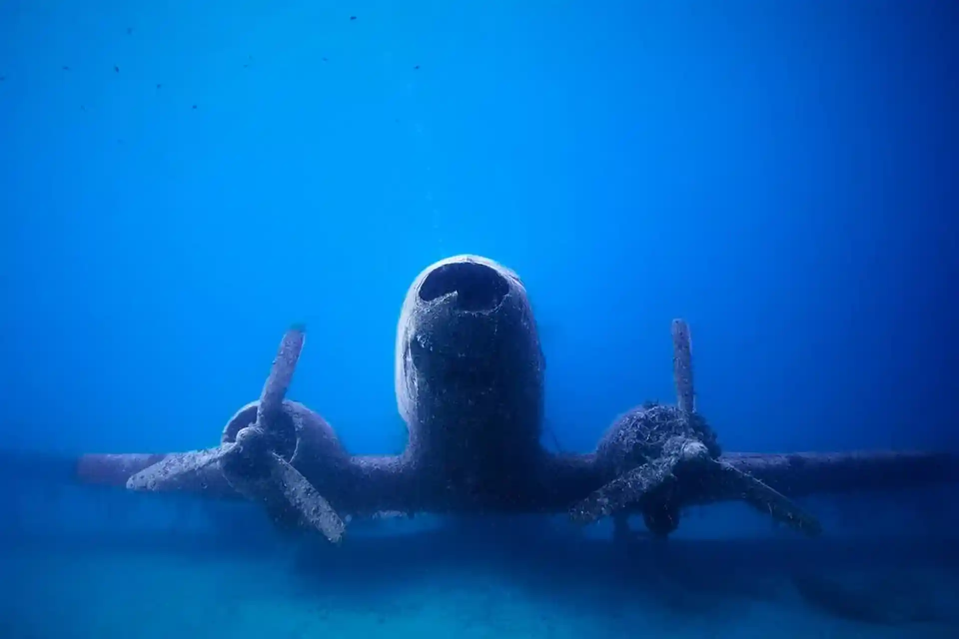 ダイビングサイトの写真