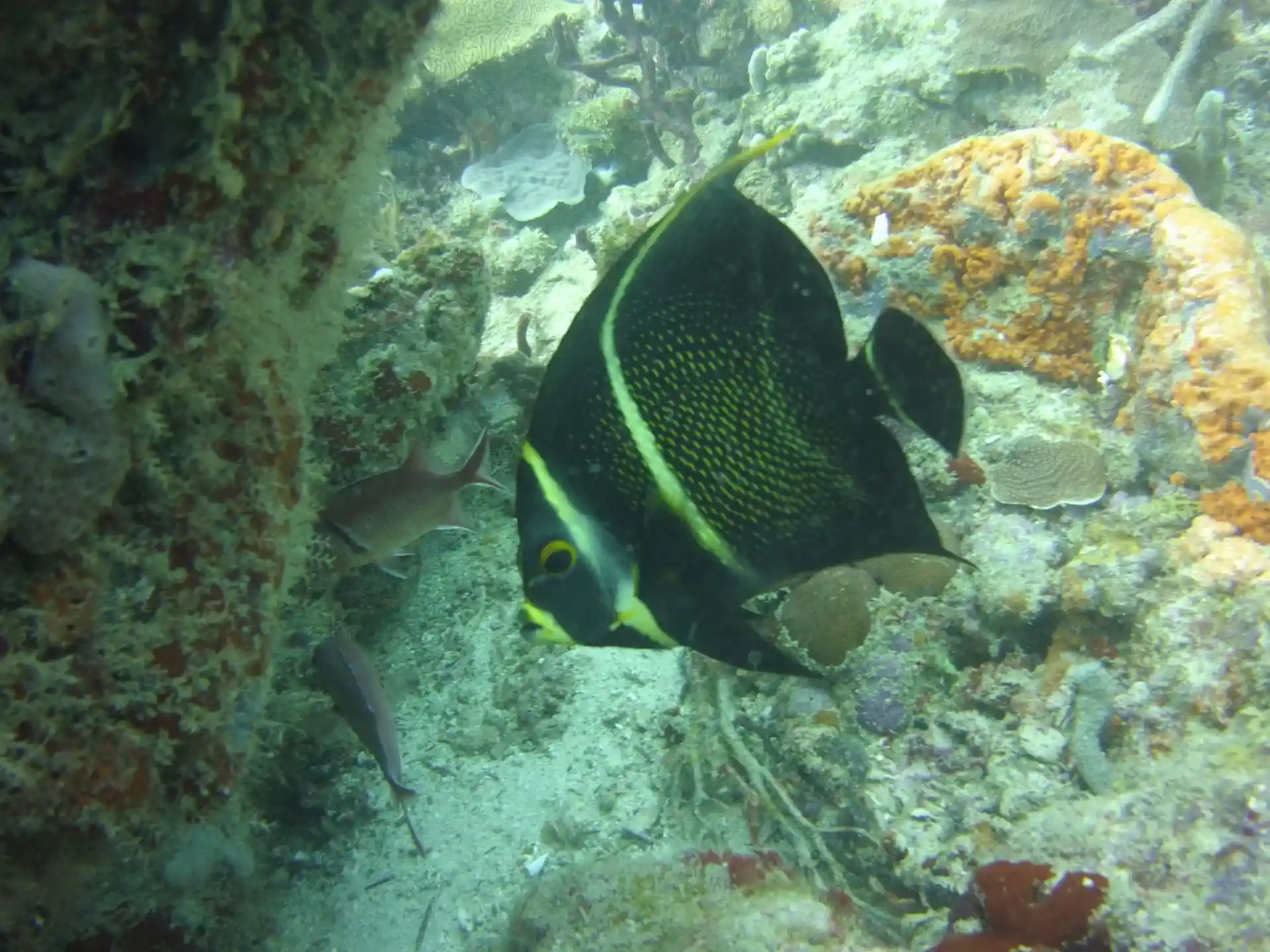 Dive site photo