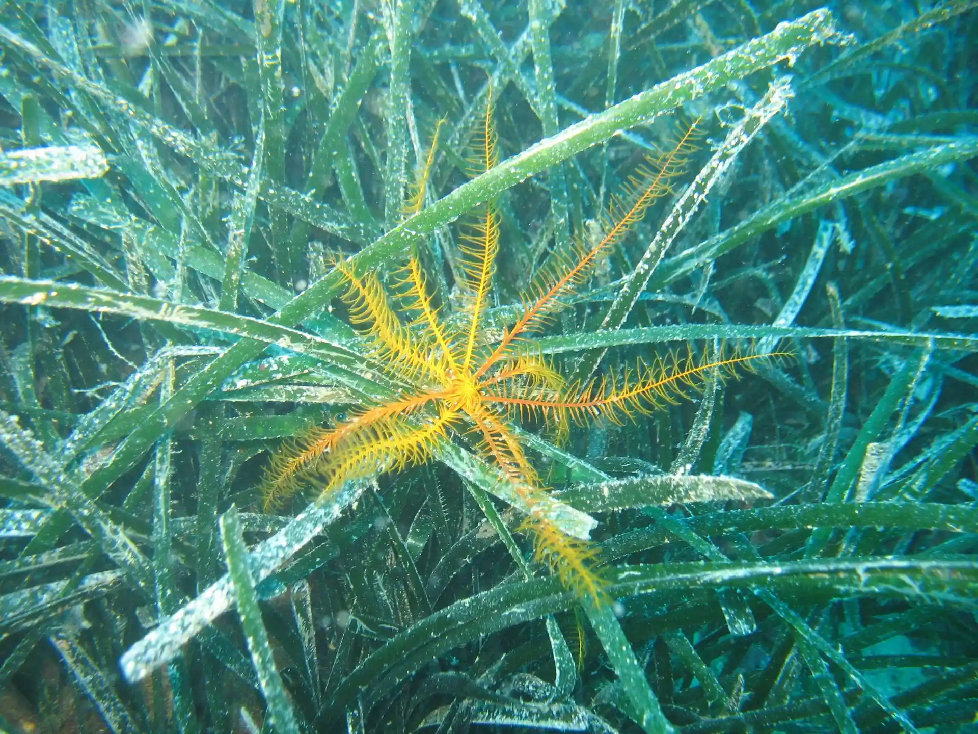 Foto del sitio de buceo