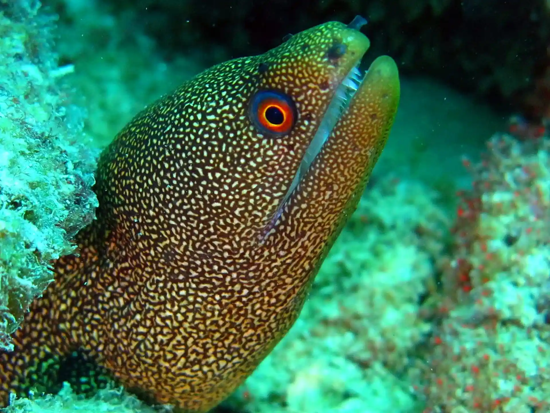 Photo de l'activité