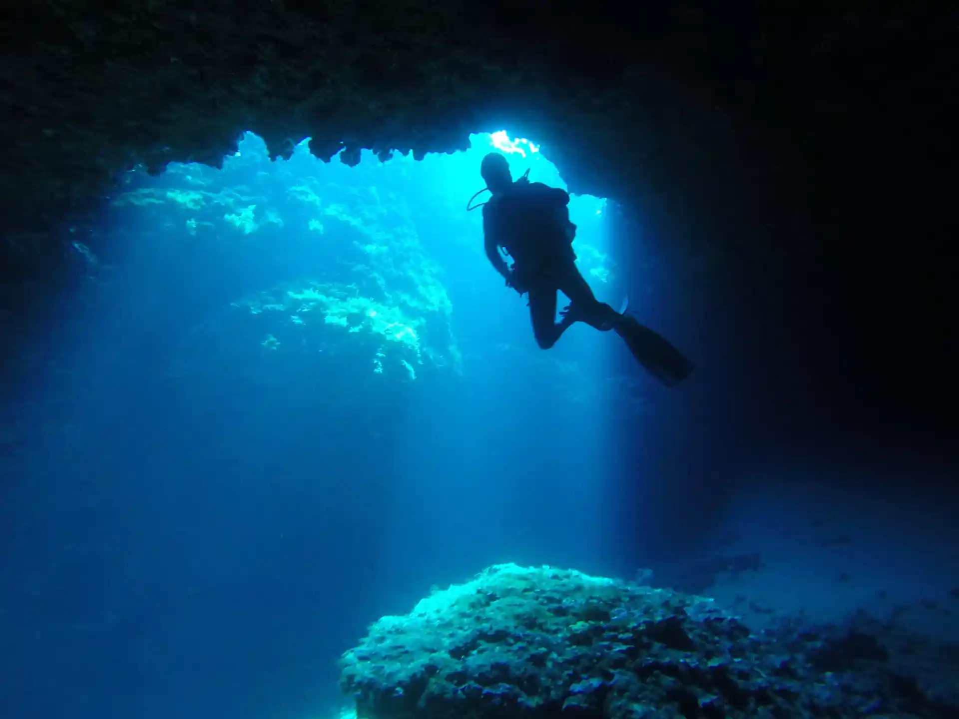 Photo de l'activité