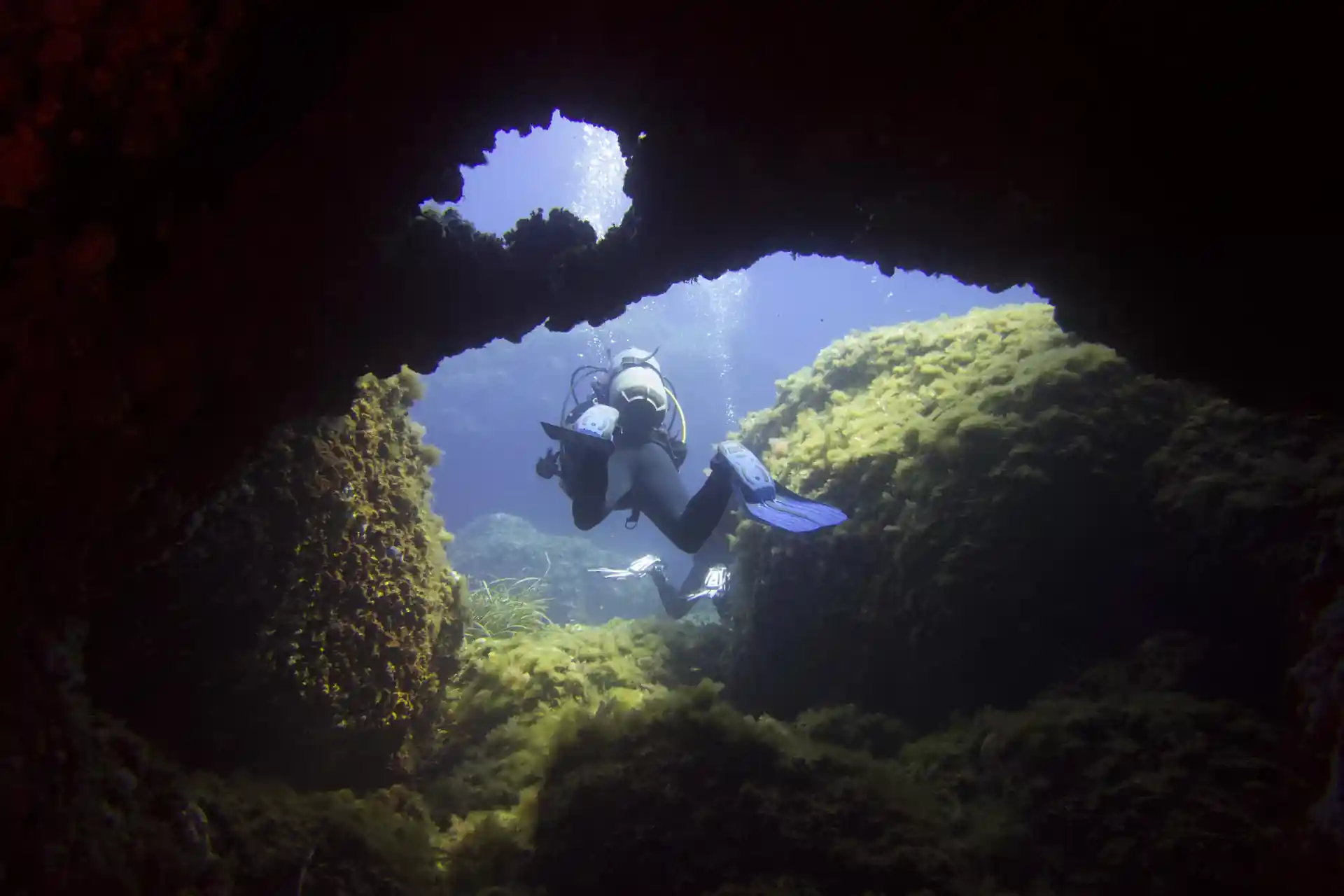 Reef Diving in Menorca