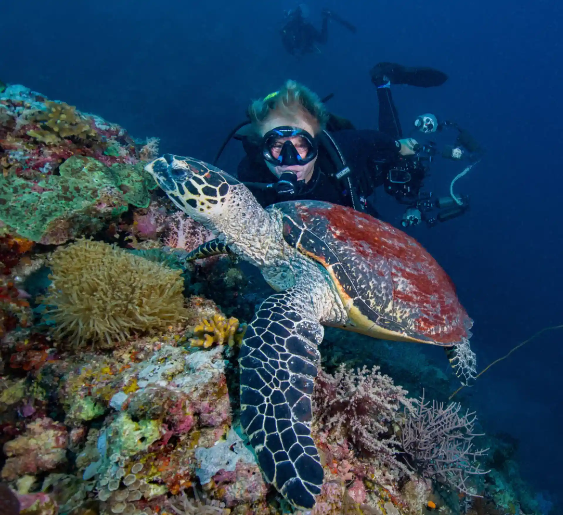 Dive site photo