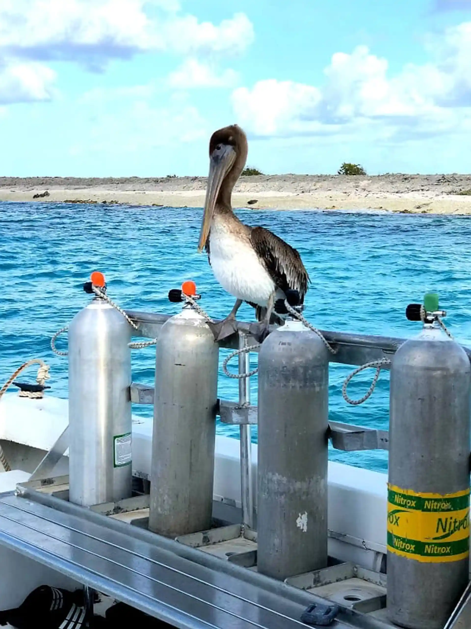 Dive shop photo