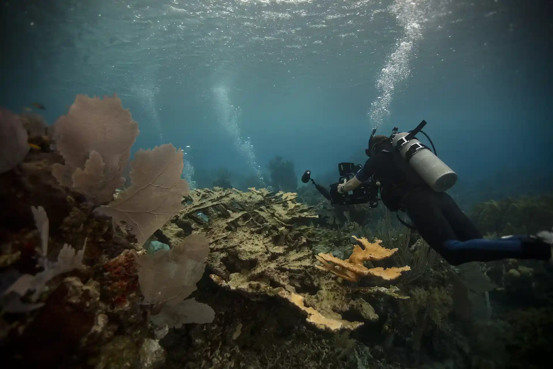 Foto de la actividad