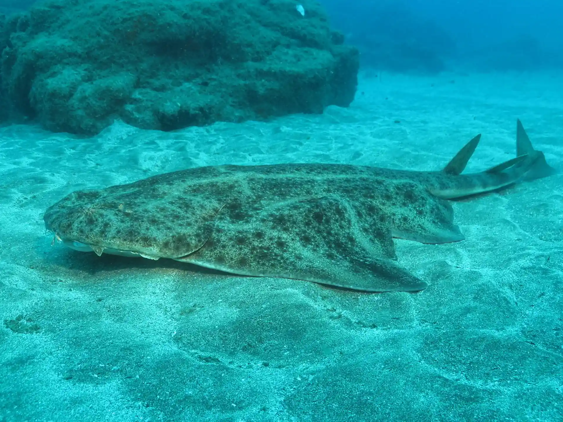 Dive site photo