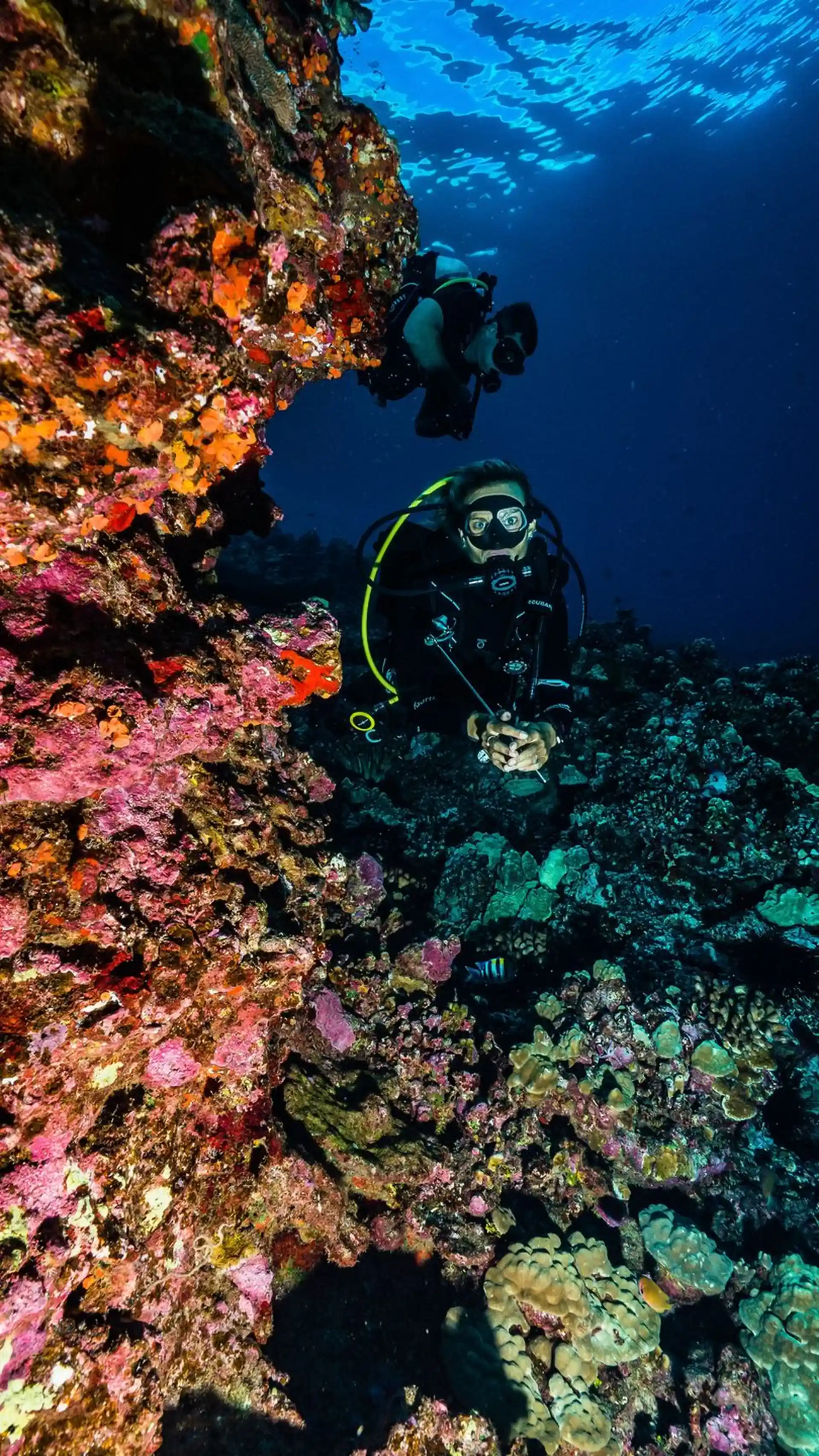Dive site photo