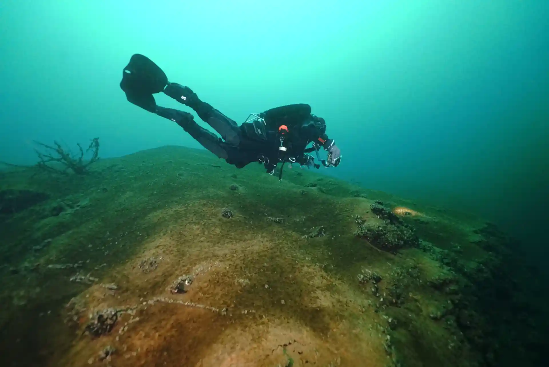 Dive shop photo