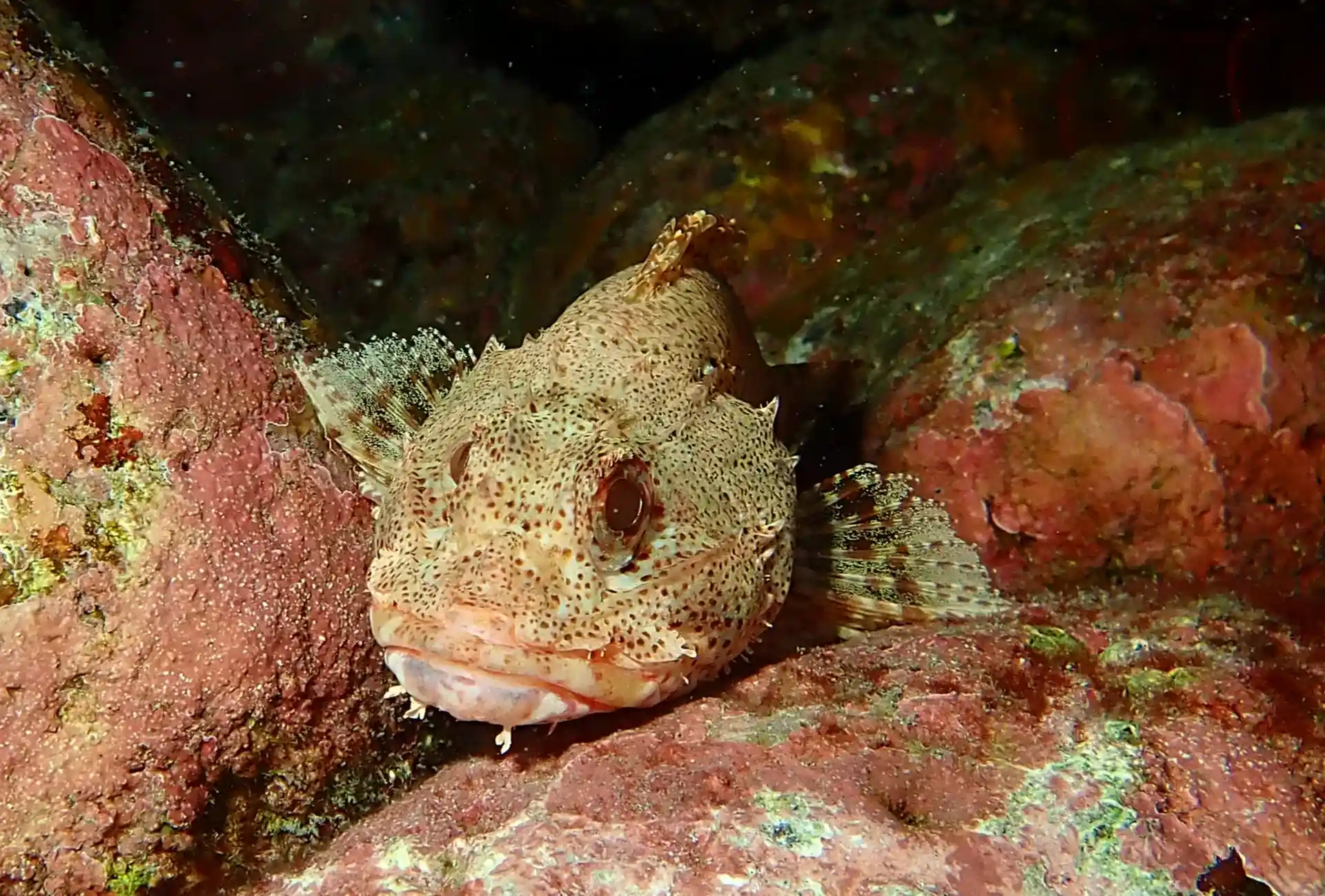 Dive shop photo