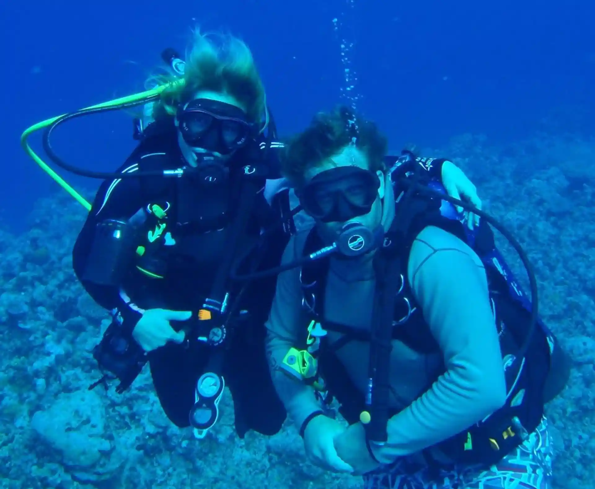Abyss Dive | Marlborough | PADI Dive Center
