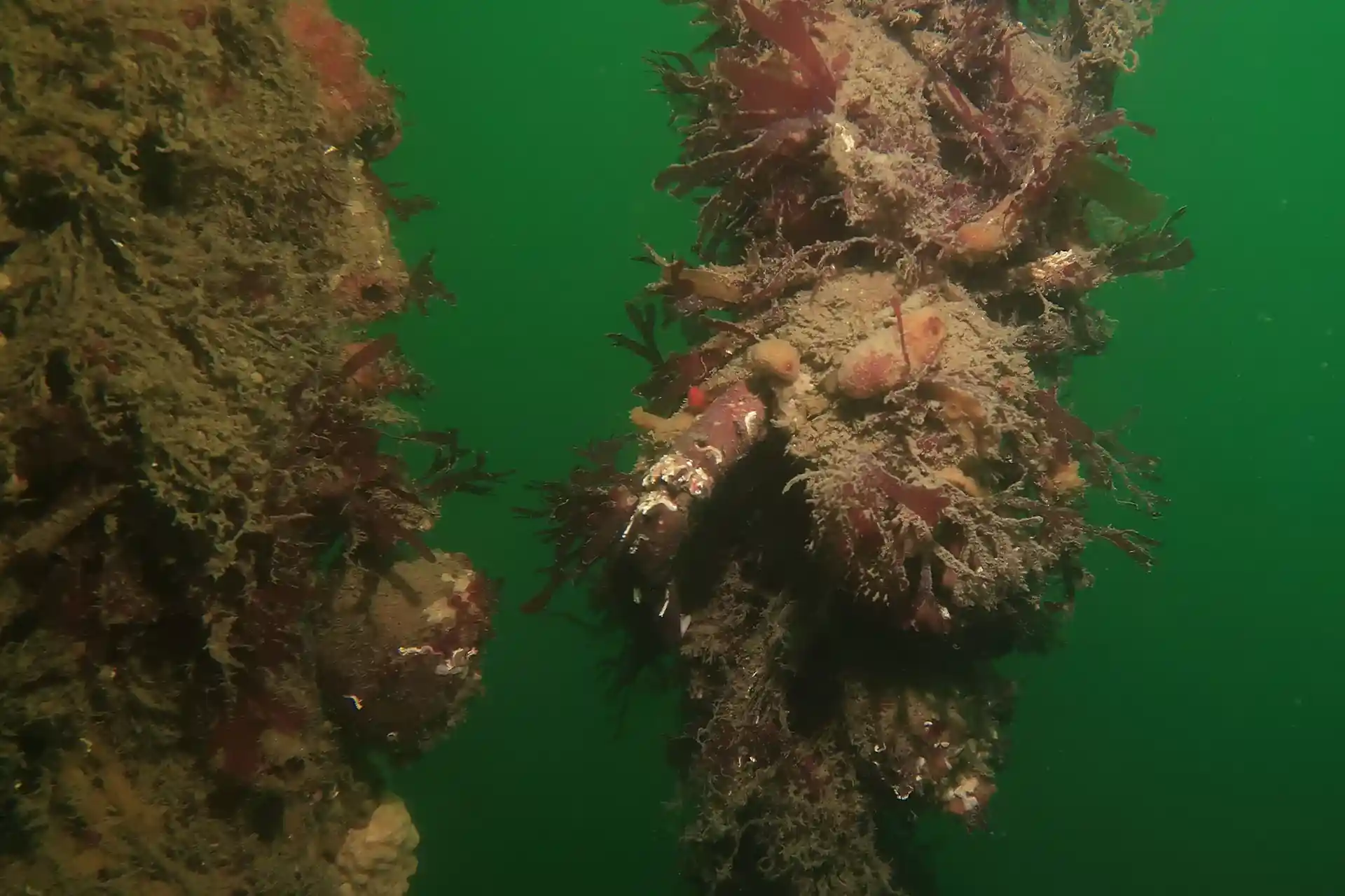 Dive site photo