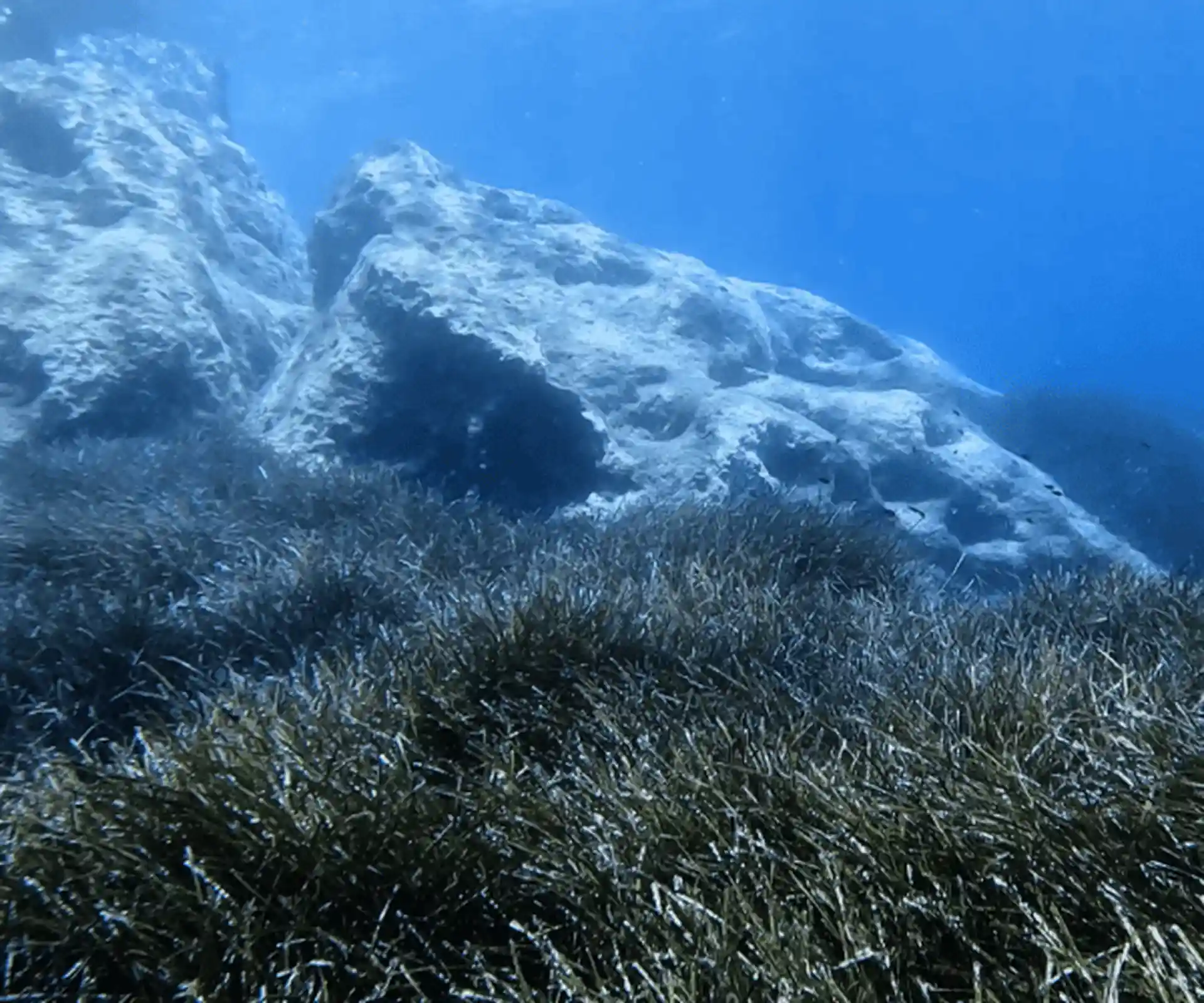 Dive site photo
