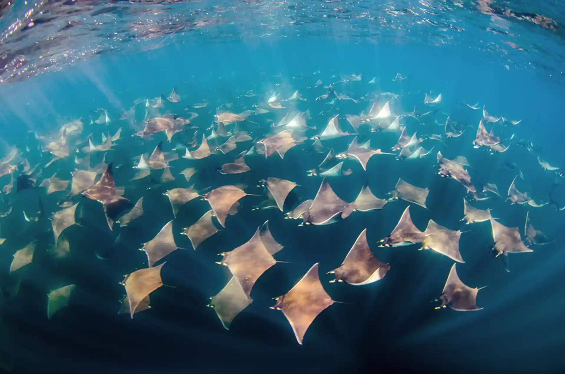 While snorkeling, at the surface