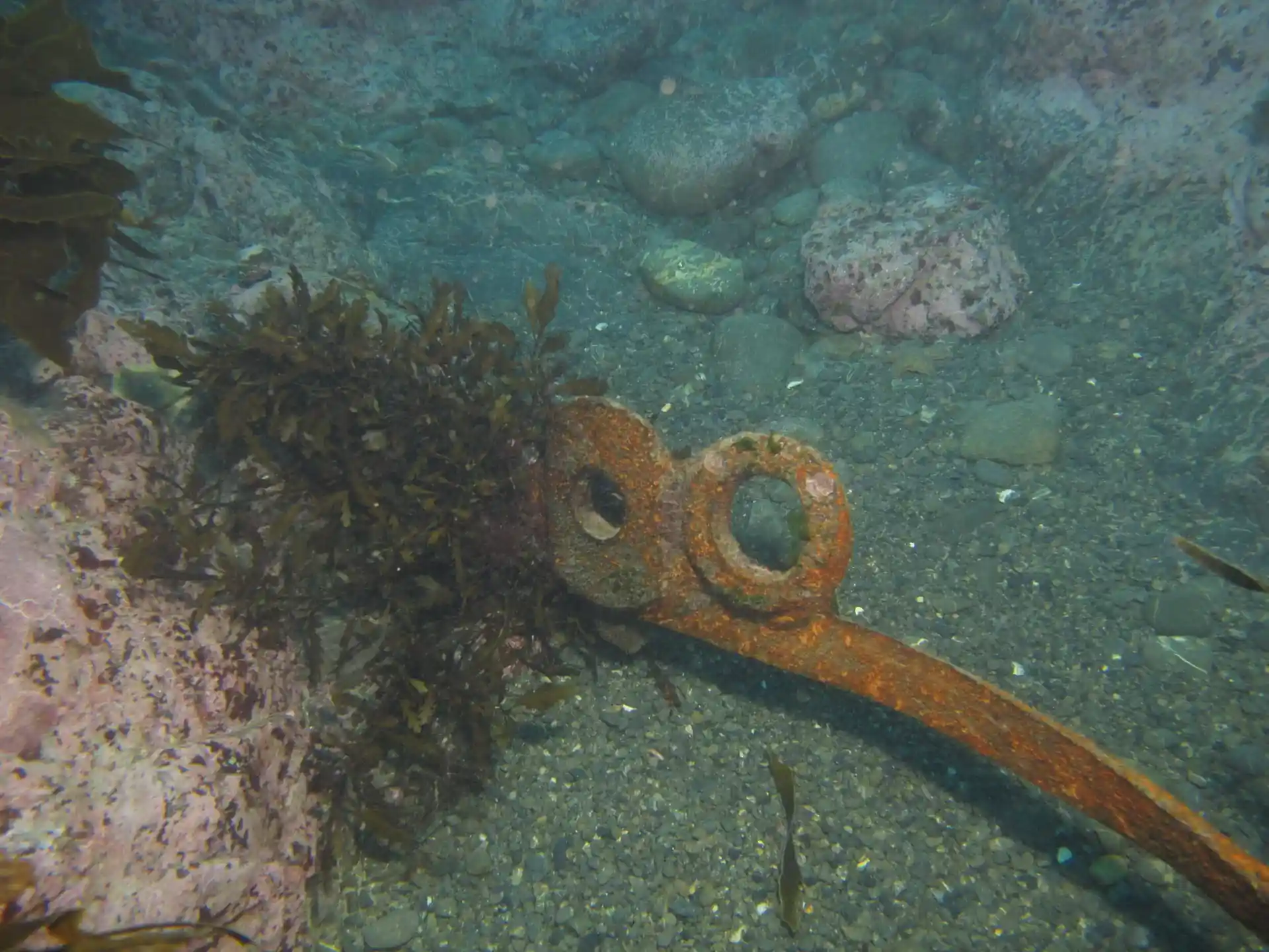 Dive site photo