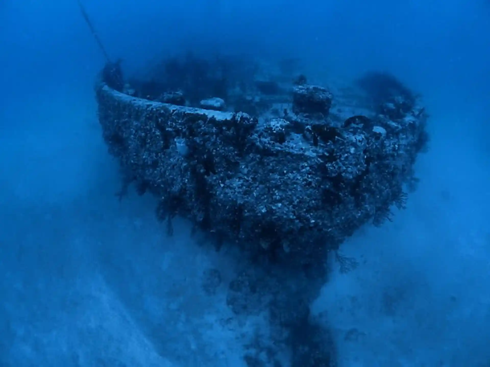 Dive site photo