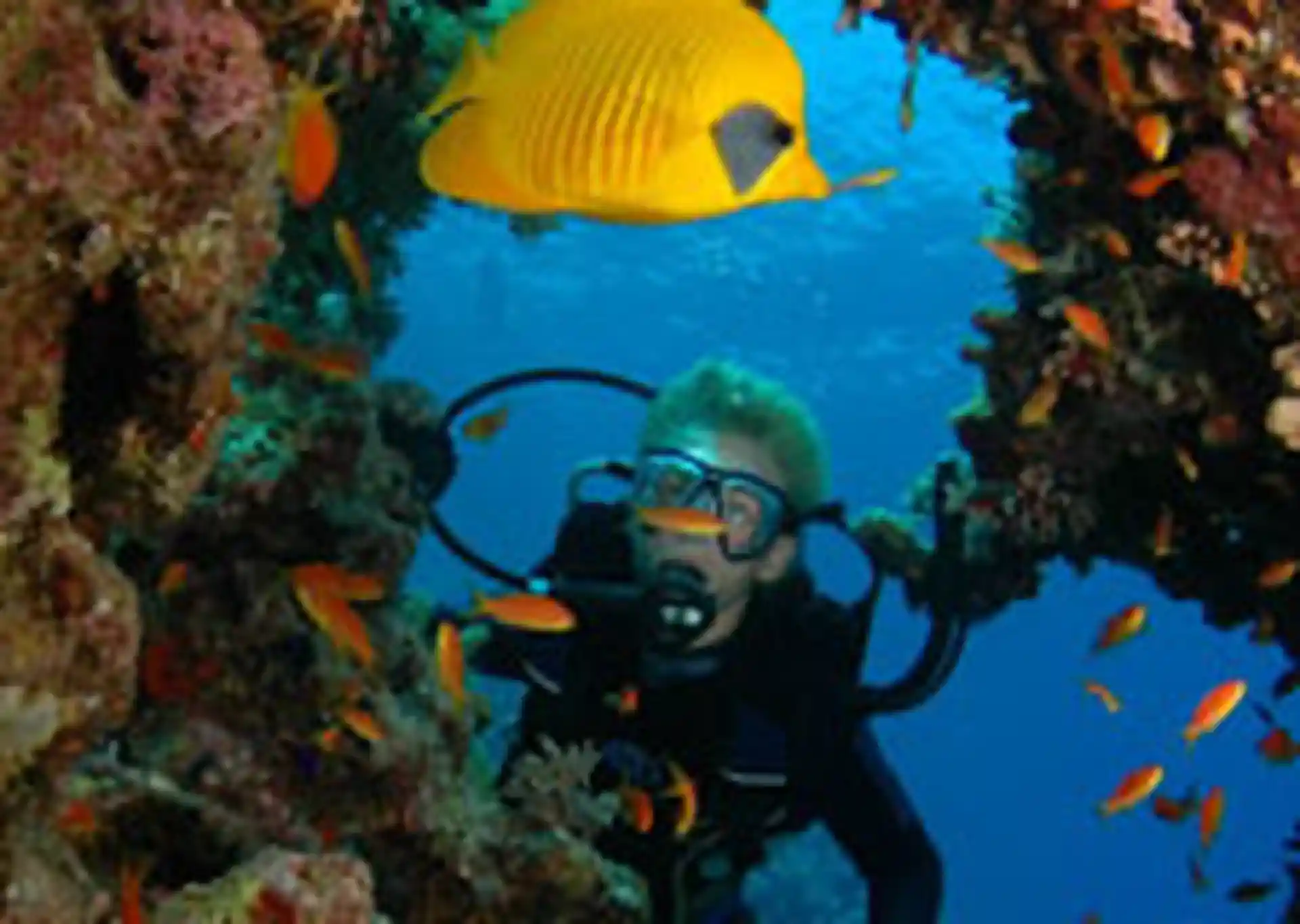 Foto de la tienda de buceo