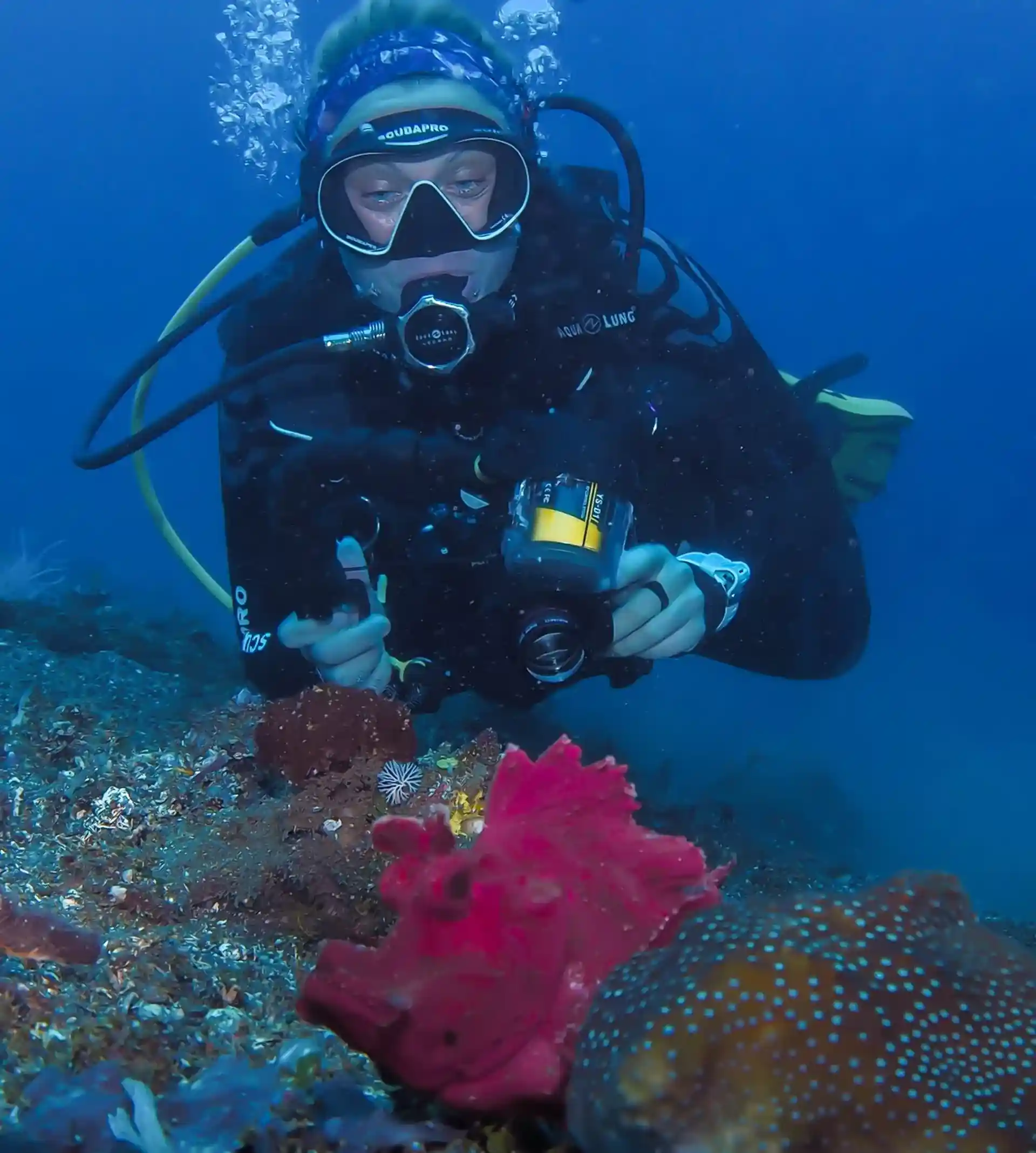 Photo de l'activité