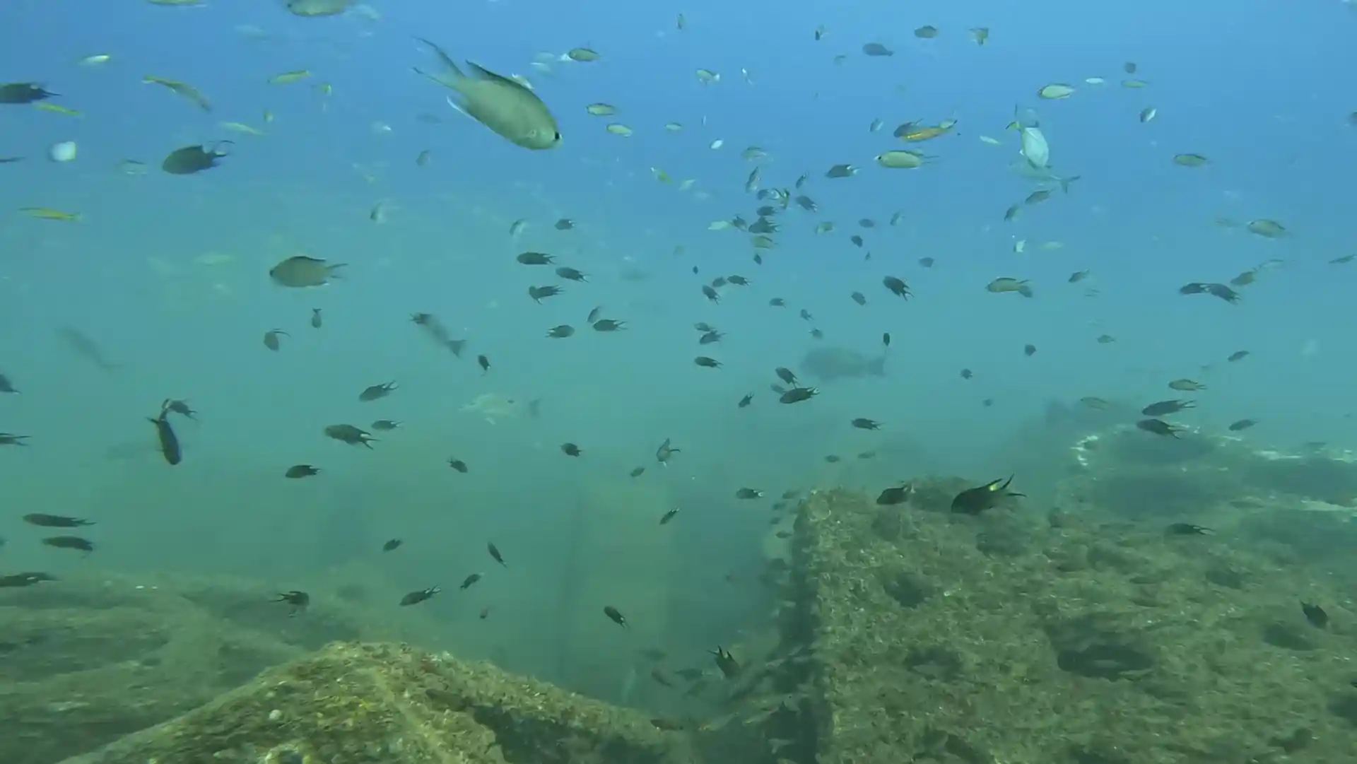 Dive site photo
