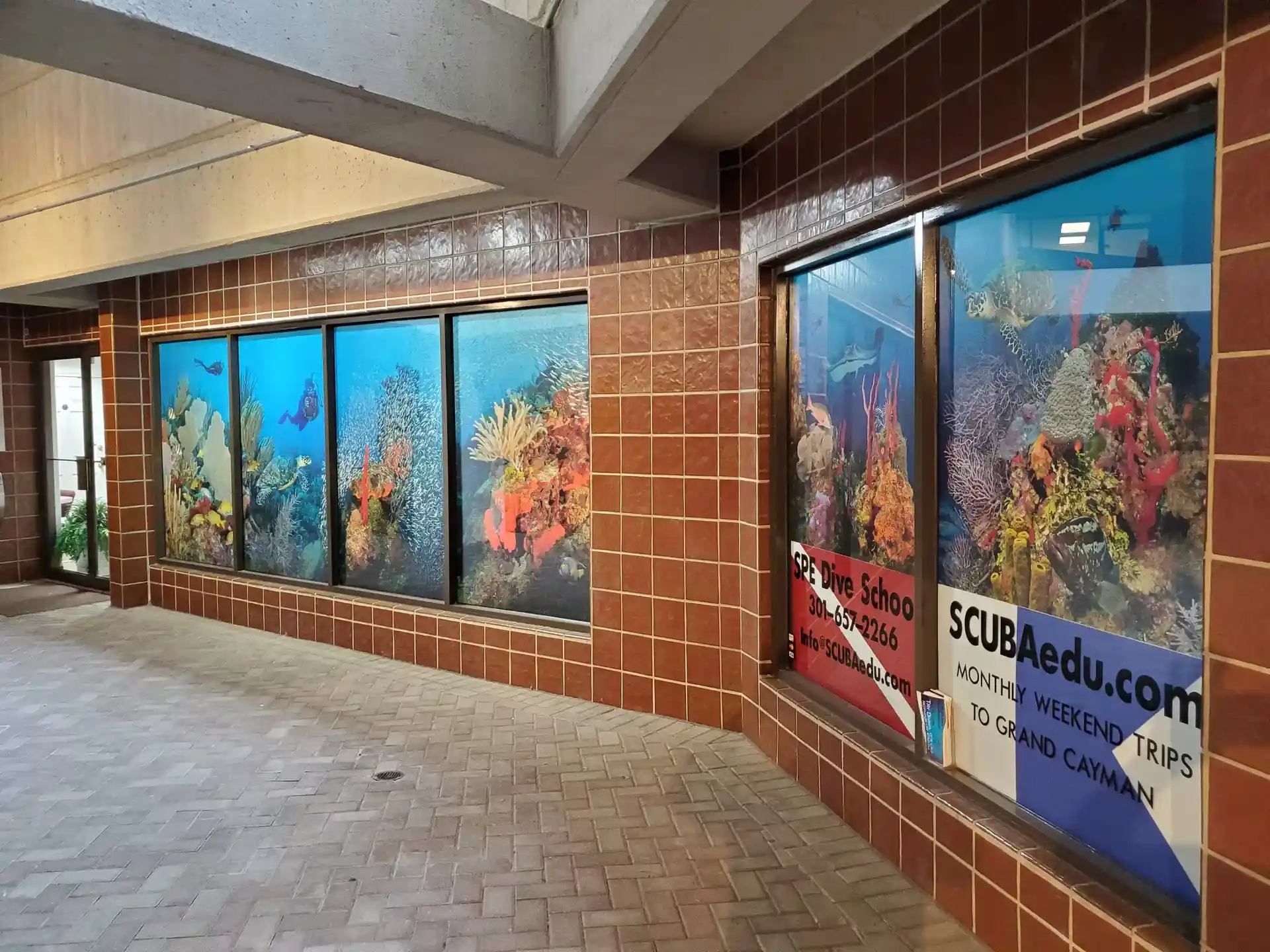 Dive shop photo