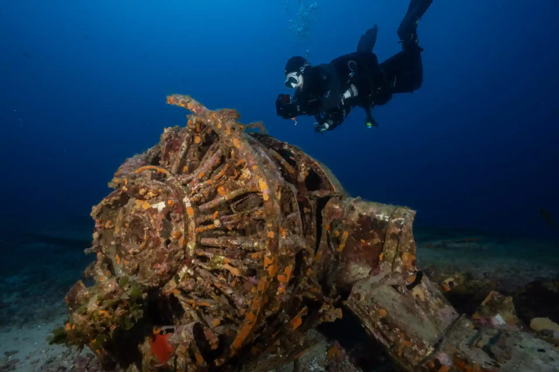 Dive shop photo