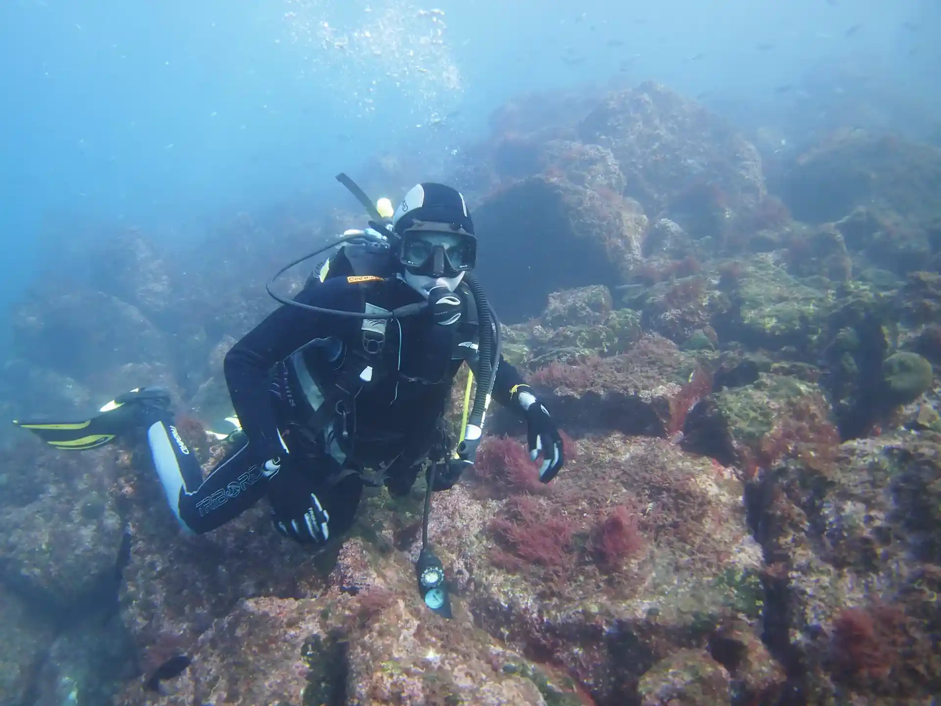 Dive site photo