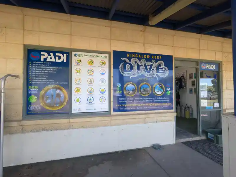 Dive operator picture