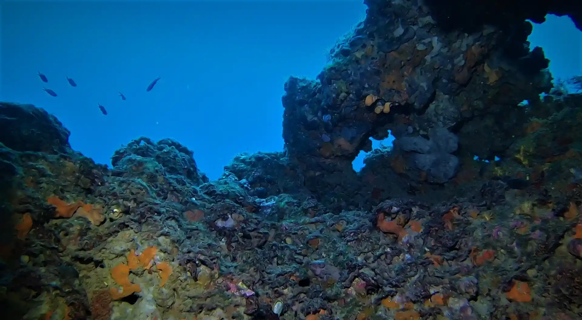 Dive site photo