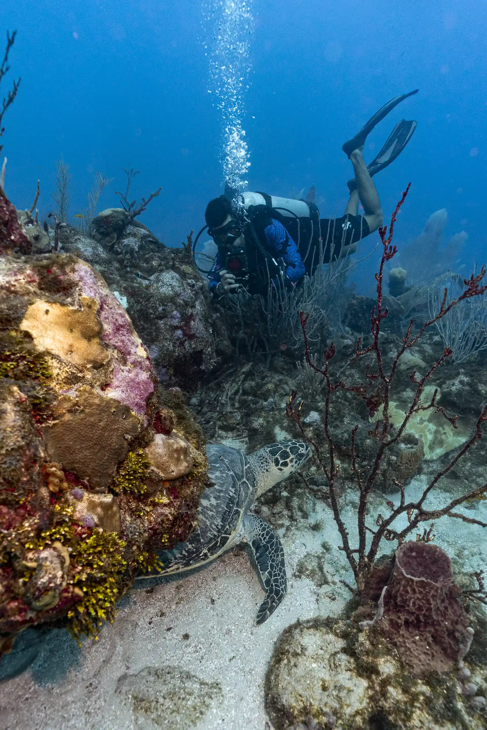Foto de la actividad