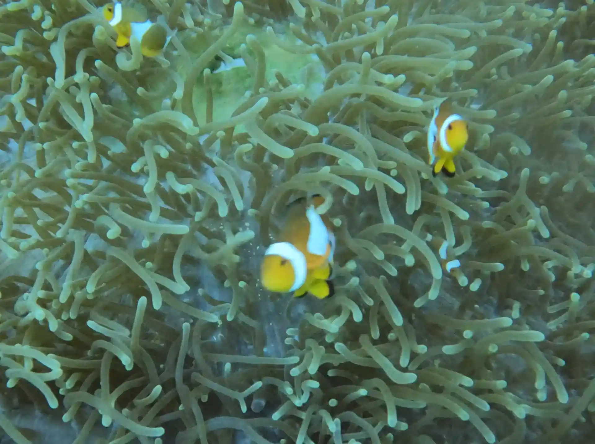 Dive site photo